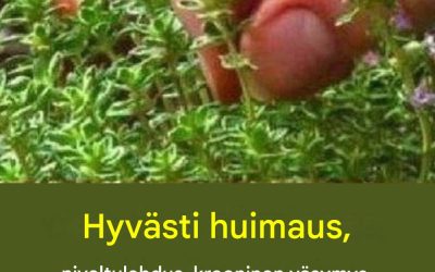 Jo yksi tämän kasvin lehti auttaa sinua välttämään…