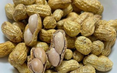 Miten maapähkinät voivat tarjota arvokkaita ravintoaineita ikääntyneiden aikuisten ruokavaliossa
