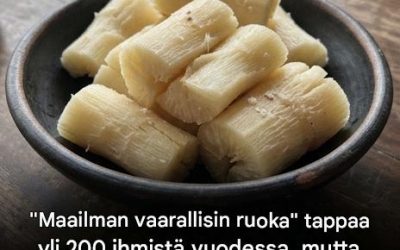 Vaikka sitä pidetään “maailman tappavimpana ruokana”, 500 miljoonaa ihmistä kuluttaa sitä edelleen ja se vaatii yli 200 uhria vuosittain.