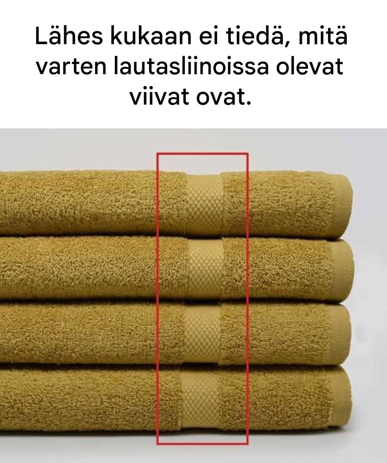 Näiden salaperäisten viivojen todellinen merkitys lautasliinoissa