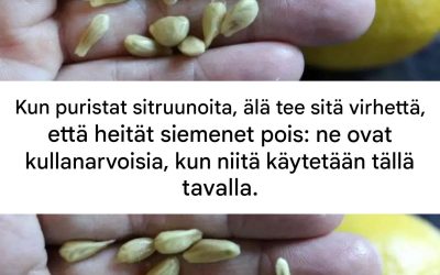 Älä aliarvioi sitruunansiemeniä: löydä niiden uskomaton potentiaali