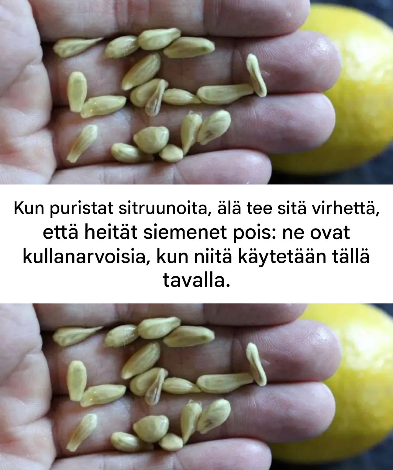 Älä aliarvioi sitruunansiemeniä: löydä niiden uskomaton potentiaali