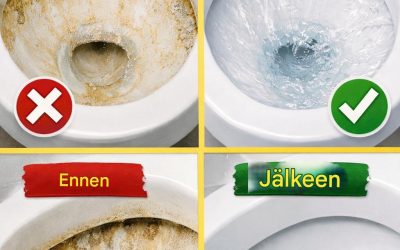 Pinttyneet kalkkikertymät katoavat wc:stä tällä yhdellä ainesosalla