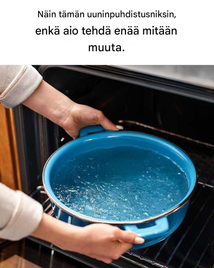 Näin tämän uuninpuhdistusniksin, enkä aio tehdä enää mitään muuta