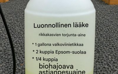 Kotihoito rikkaruohoille – yksinkertainen ja tehokas luonnollinen ratkaisu