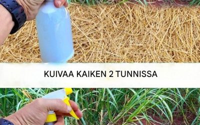 Paras kotitekoinen rikkakasvien torjunta-aine: Yksinkertainen myrkytön ratkaisu ei-toivotuille rikkaruohoille