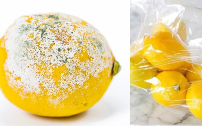 Kuinka pitää sitruunat tuoreina pidempään ja estää niitä pilaantumasta? 4 yksinkertaista vinkkiä