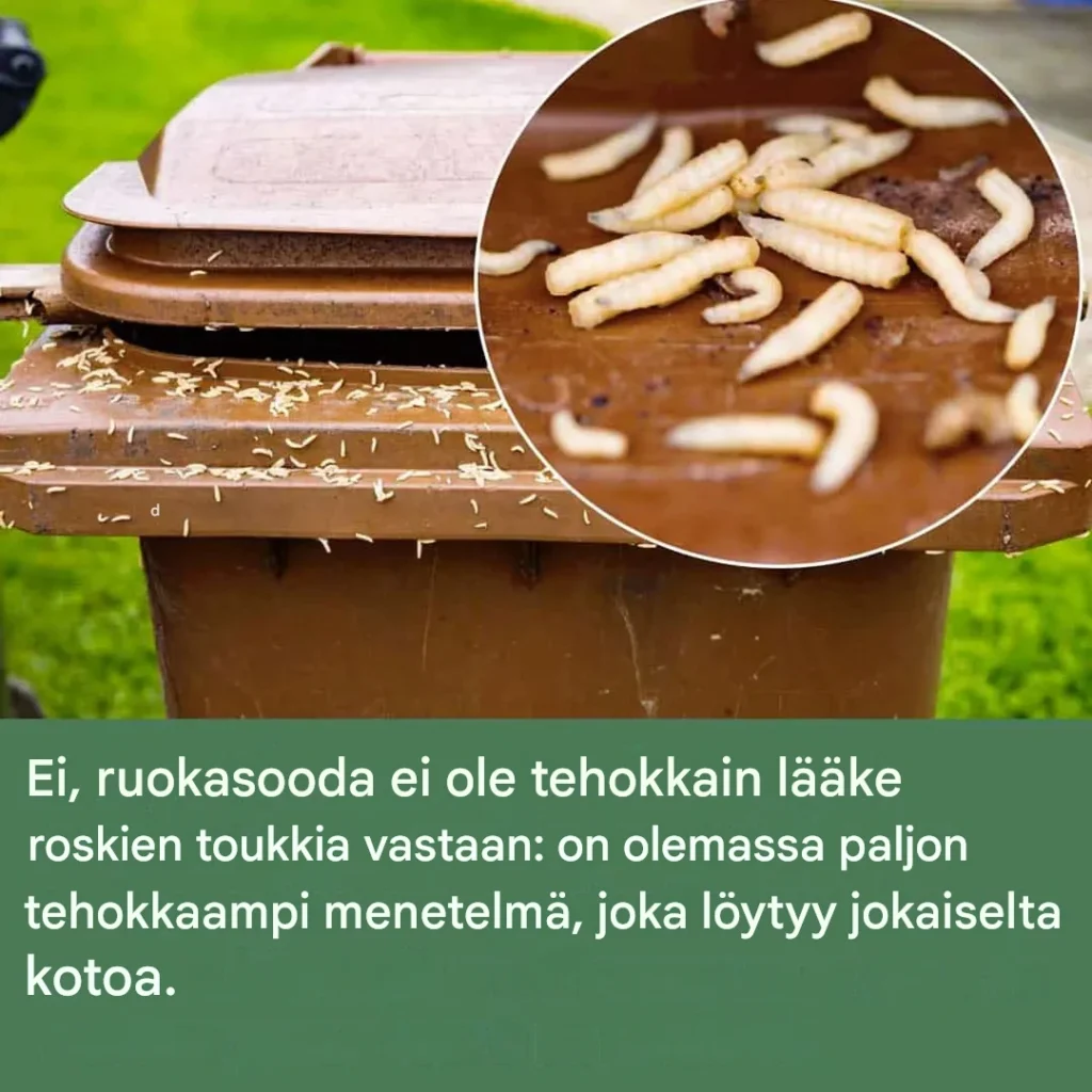 Roskien toukkien hävittäminen: 3 tehokasta menetelmää puhtaaseen ympäristöön
